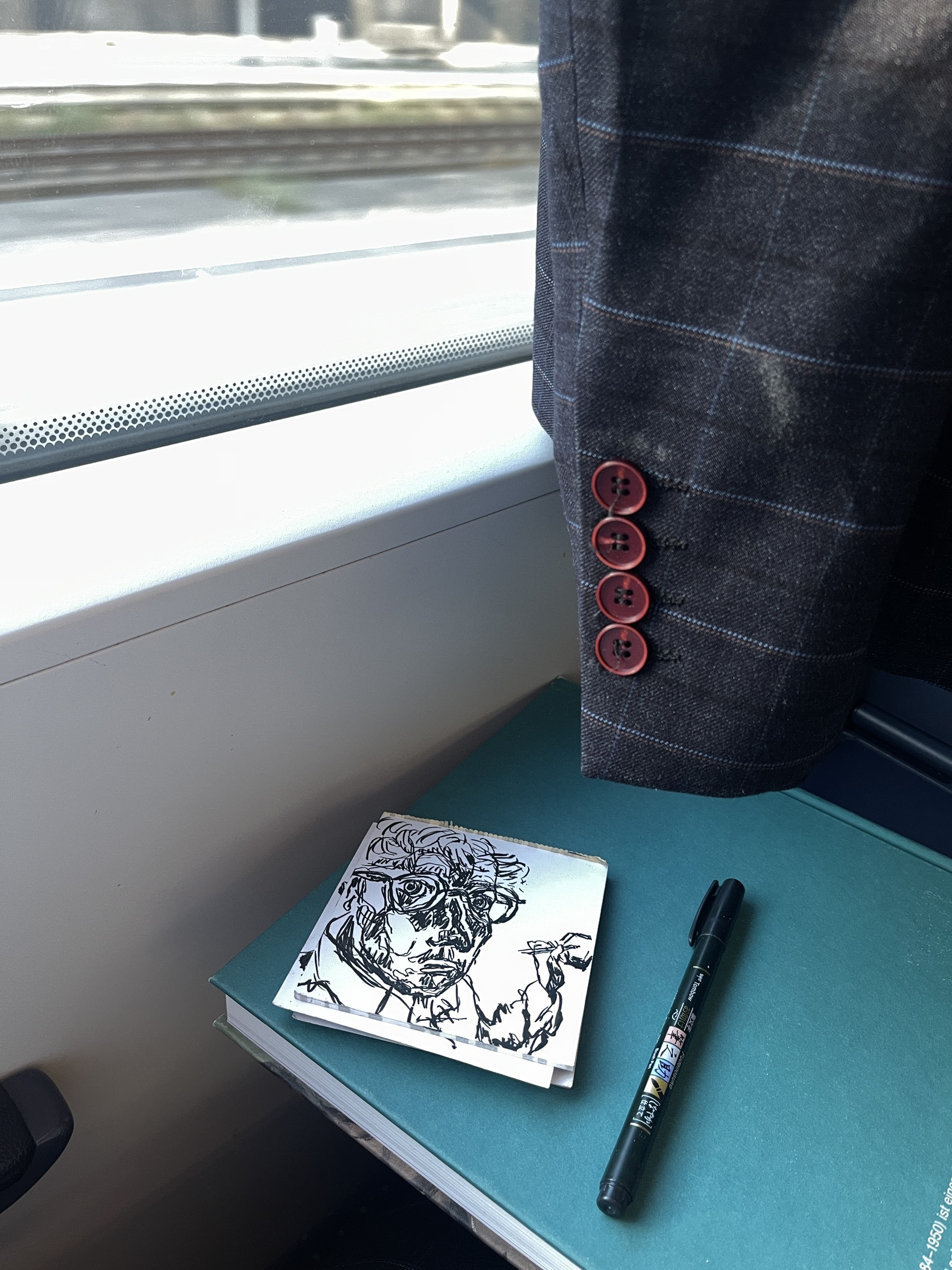 Self-portrait on the train, 2025